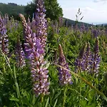 Cihlarka Mountain View