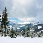 Cihlarka Mountain View * 切尔尼杜尔