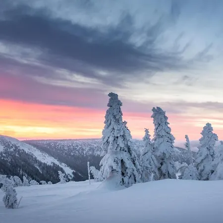 Cihlarka 303 * Pec pod Sněžkou