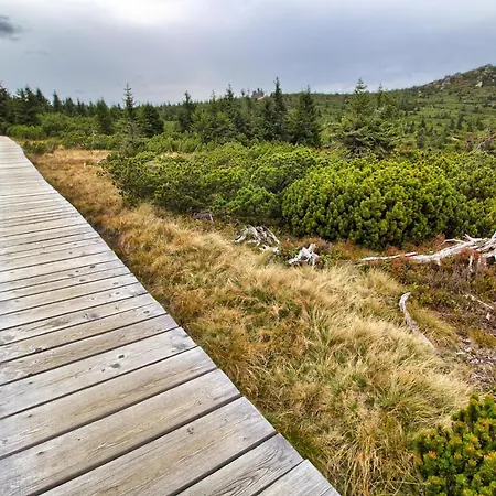 Cihlarka 303 Apartament