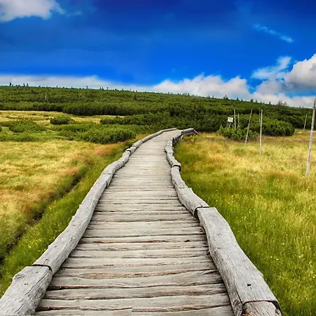 Cihlarka 303 Apartament