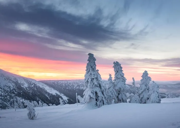 Cihlarka Mountain View * Černý Důl