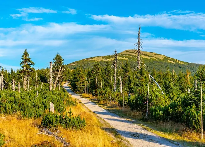 Cihlarka Mountain View