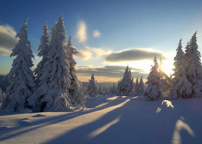 Cihlarka Mountain View * Černý Důl