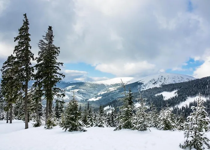 Cihlarka Mountain View * Černý Důl