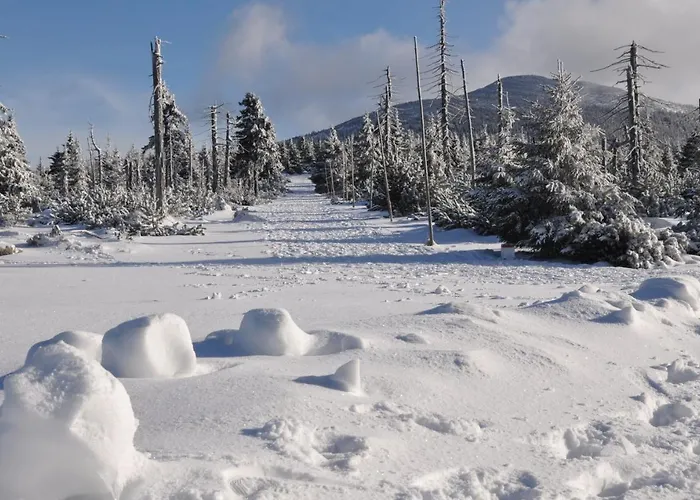 Cihlarka Mountain View Černý Důl