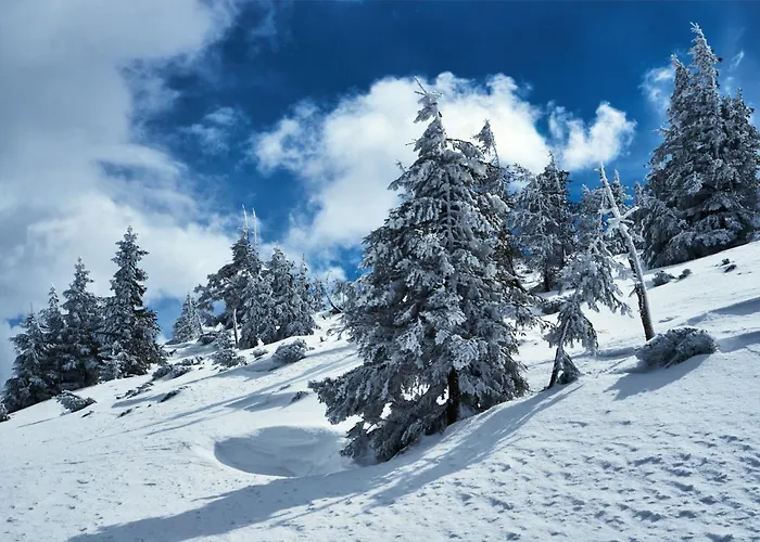 Cihlarka Mountain View *